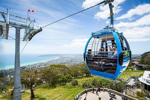 Around The Bay Food And Wine Taste Trail - New South Wales Tourism  8