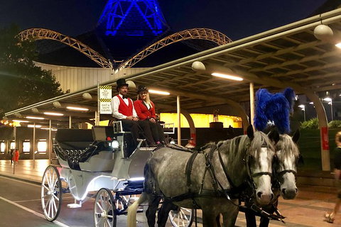 Melbourne Horse Drawn Carriages Deluxe 45 Minute Garden Tour - New South Wales Tourism  0