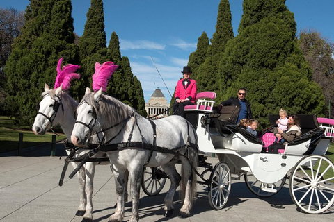 Melbourne Horse Drawn Carriages Deluxe 45 Minute Garden Tour - New South Wales Tourism  1
