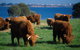 1 Day Exclusively Private Tour Of Phillip Island & The Penguin Parade - thumb 8