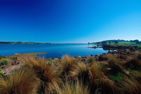 1 Day Exclusively Private Tour Of Phillip Island & The Penguin Parade - New South Wales Tourism  3