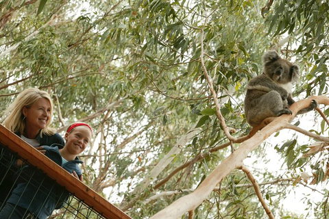 1 Day Exclusively Private Tour Of Phillip Island & The Penguin Parade - New South Wales Tourism  9