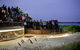 Phillip Island And French Island Wildlife Expedition - thumb 0