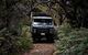 Phillip Island And French Island Wildlife Expedition - thumb 6