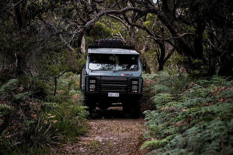 Phillip Island And French Island Wildlife Expedition - New South Wales Tourism  6