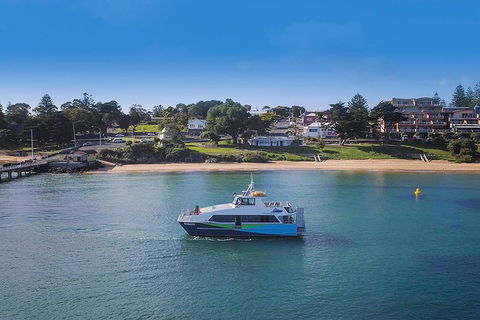 Phillip Island And French Island Wildlife Expedition - New South Wales Tourism  3