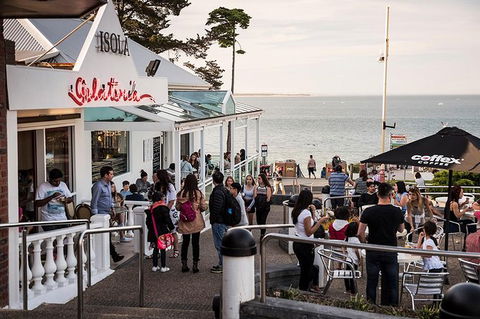 Phillip Island And French Island Wildlife Expedition - New South Wales Tourism  7