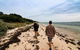 Phillip Island And French Island Wildlife Expedition - thumb 5