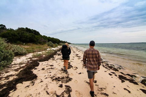 Phillip Island And French Island Wildlife Expedition - New South Wales Tourism  5