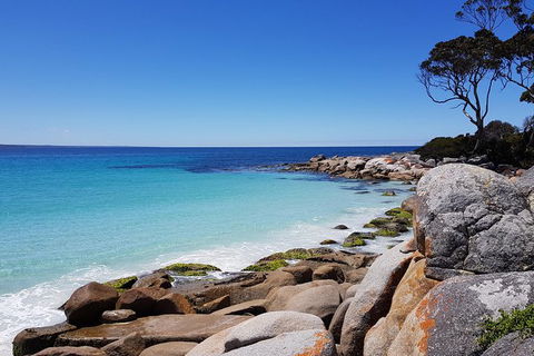 Tasmania 6 Day \'Tour In Circle\' - New South Wales Tourism  4