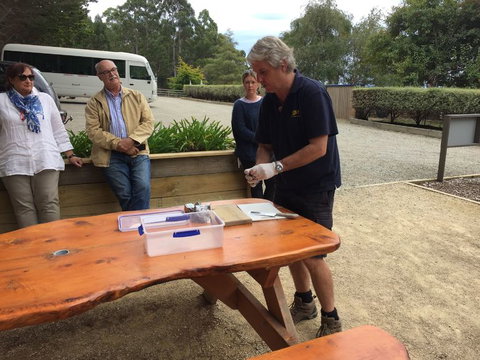 Bruny Island All Inclusive Gourmet Day Trip From Hobart - New South Wales Tourism  17