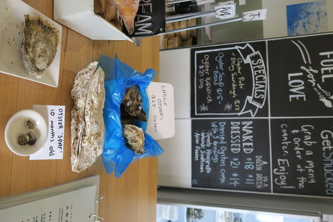 Bruny Island All Inclusive Gourmet Day Trip From Hobart - New South Wales Tourism  12