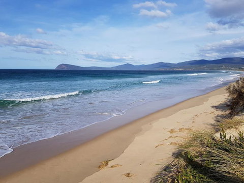 Bruny Island All Inclusive Gourmet Day Trip From Hobart - New South Wales Tourism  6