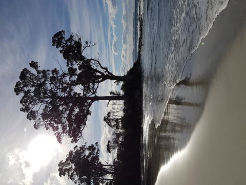 Bruny Island All Inclusive Gourmet Day Trip From Hobart - New South Wales Tourism  5