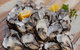 Bruny Island All Inclusive Gourmet Day Trip From Hobart - thumb 25