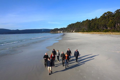 Bruny Island All Inclusive Gourmet Day Trip From Hobart - New South Wales Tourism  24