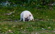 Bruny Island All Inclusive Gourmet Day Trip From Hobart - thumb 26