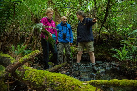 Bruny Island All Inclusive Gourmet Day Trip From Hobart - New South Wales Tourism  28