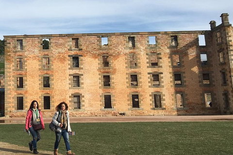 3-Day Tasmania Combo: Launceston To Hobart Active Tour Including Cradle Mountain, Freycinet National Park And Port Arthur - New South Wales Tourism  7
