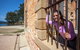 3-Day Tasmania Combo: Launceston To Hobart Active Tour Including Cradle Mountain, Freycinet National Park And Port Arthur - thumb 10