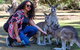 3-Day Tasmania Combo: Launceston To Hobart Active Tour Including Cradle Mountain, Freycinet National Park And Port Arthur - thumb 12