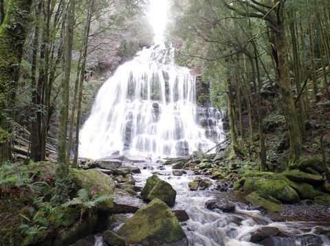 5-Day Best Of Tasmania Tour From Hobart - New South Wales Tourism  2