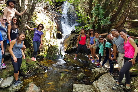 5-Day Best Of Tasmania Tour From Hobart - New South Wales Tourism  9