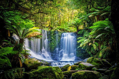 Day Tour In Mt. Field, Mt. Wellington, Bonorong Wildlife Sanctuary And Richmond - New South Wales Tourism  0