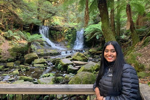 Day Tour In Mt. Field, Mt. Wellington, Bonorong Wildlife Sanctuary And Richmond - New South Wales Tourism  4