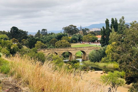 Day Tour In Mt. Field, Mt. Wellington, Bonorong Wildlife Sanctuary And Richmond - New South Wales Tourism  6