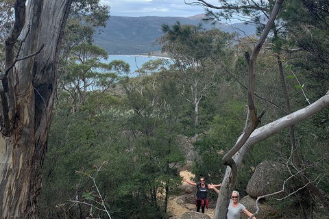 Wineglass Bay And Freycinet National Park Active Day Trip From Hobart - New South Wales Tourism  14