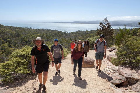 Wineglass Bay And Freycinet National Park Active Day Trip From Hobart - New South Wales Tourism  26