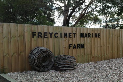 Wineglass Bay And Freycinet National Park Active Day Trip From Hobart - New South Wales Tourism  20