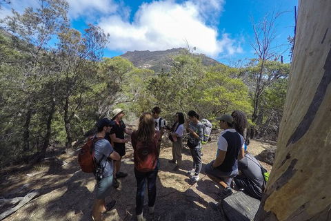 Wineglass Bay And Freycinet National Park Active Day Trip From Hobart - New South Wales Tourism  9