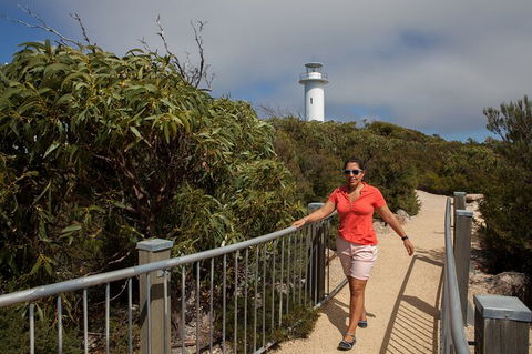 Wineglass Bay And Freycinet National Park Active Day Trip From Hobart - New South Wales Tourism  29