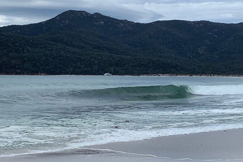 Wineglass Bay And Freycinet National Park Active Day Trip From Hobart - New South Wales Tourism  17