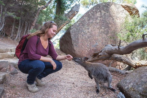 Wineglass Bay And Freycinet National Park Active Day Trip From Hobart - New South Wales Tourism  31
