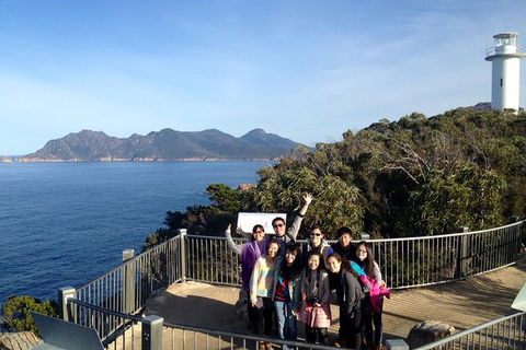 Wineglass Bay And Freycinet National Park Active Day Trip From Hobart - New South Wales Tourism  23