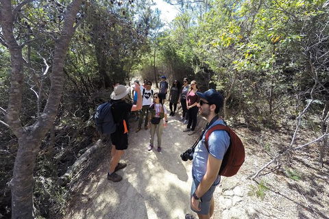 Wineglass Bay And Freycinet National Park Active Day Trip From Hobart - New South Wales Tourism  19