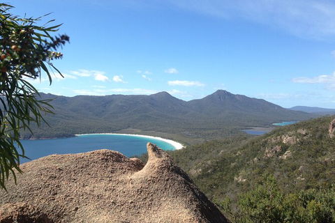 Wineglass Bay And Freycinet National Park Active Day Trip From Hobart - New South Wales Tourism  33