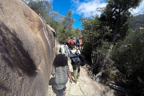 Wineglass Bay And Freycinet National Park Active Day Trip From Hobart - New South Wales Tourism  21