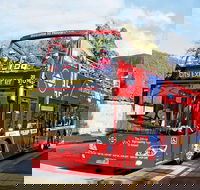 Hobart Hop-on Hop-off Bus Tour - New South Wales Tourism 