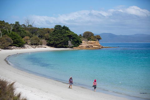 Maria Island Active Day Trip From Hobart - New South Wales Tourism  1