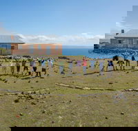 Maria Island Active Day Trip from Hobart - New South Wales Tourism 