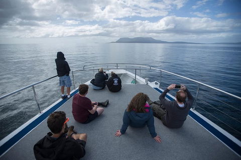 Maria Island Active Day Trip From Hobart - New South Wales Tourism  13