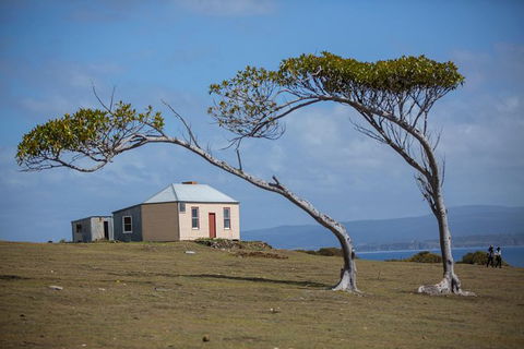 Maria Island Active Day Trip From Hobart - New South Wales Tourism  3