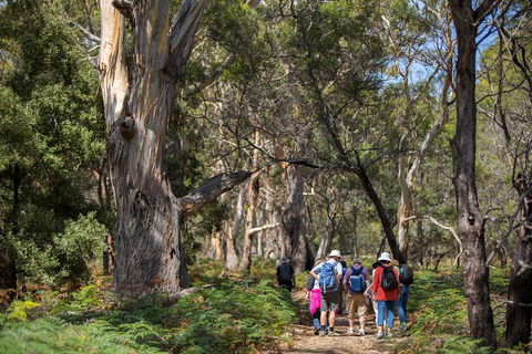 Maria Island Active Day Trip From Hobart - New South Wales Tourism  12