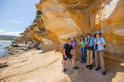 Maria Island Active Day Trip From Hobart - New South Wales Tourism  7