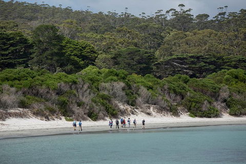 Maria Island Active Day Trip From Hobart - New South Wales Tourism  11