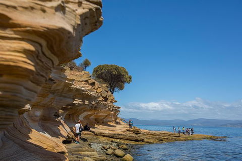 Maria Island Active Day Trip From Hobart - New South Wales Tourism  5